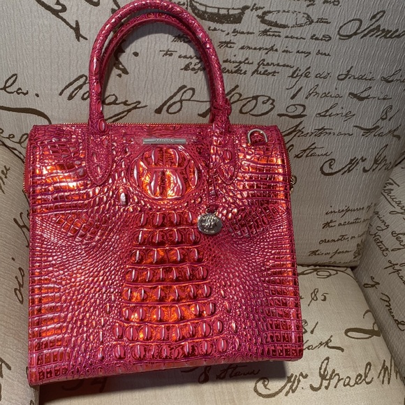 Brahmin - Picture 2 of 15